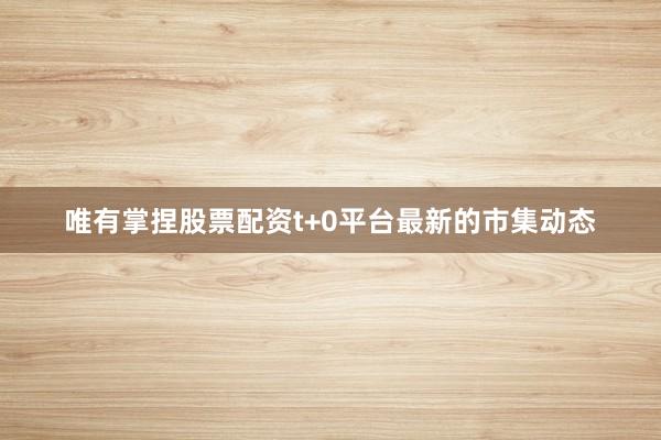 唯有掌捏股票配资t+0平台最新的市集动态