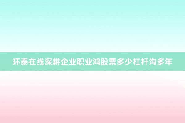 环泰在线深耕企业职业鸿股票多少杠杆沟多年