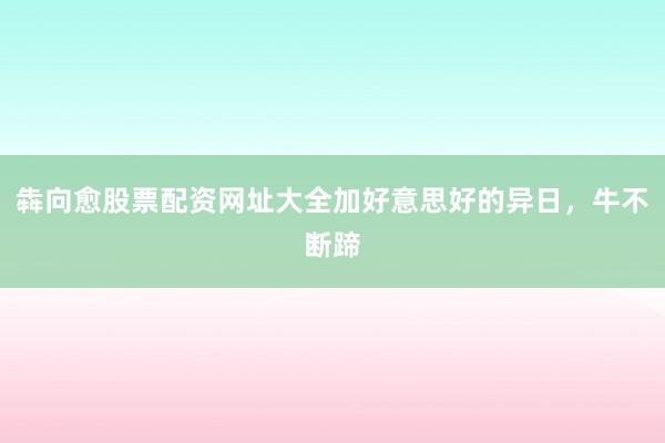 犇向愈股票配资网址大全加好意思好的异日，牛不断蹄