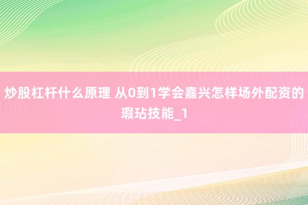 炒股杠杆什么原理 从0到1学会嘉兴怎样场外配资的瑕玷技能_1