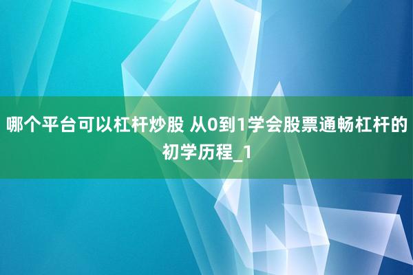哪个平台可以杠杆炒股 从0到1学会股票通畅杠杆的初学历程_1