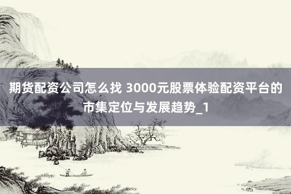 期货配资公司怎么找 3000元股票体验配资平台的市集定位与发展趋势_1